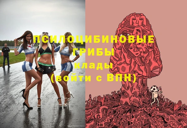 a pvp Ростов