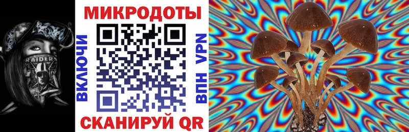 блэк спрут ссылка Городище Галлюциногенные грибы ЛСД